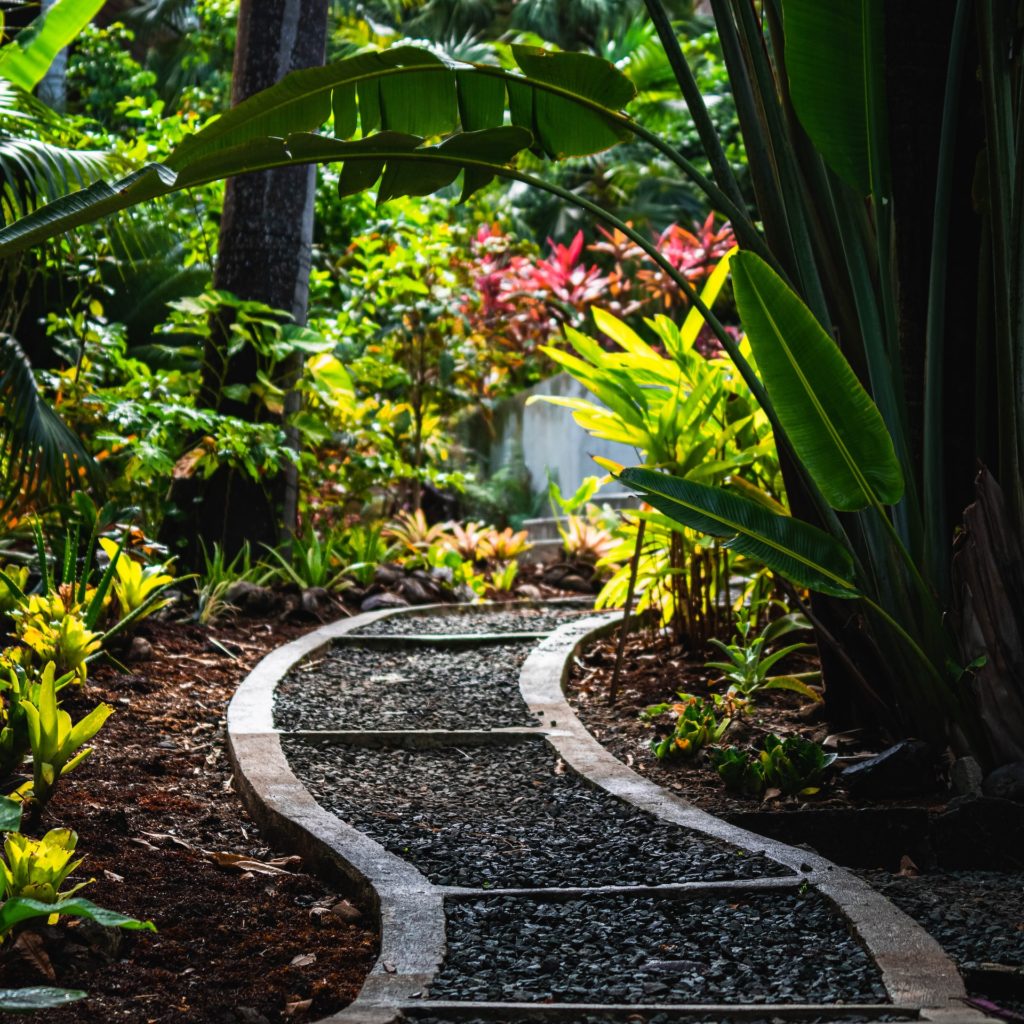 Création d’un chemin de jardin particulier à Colmar