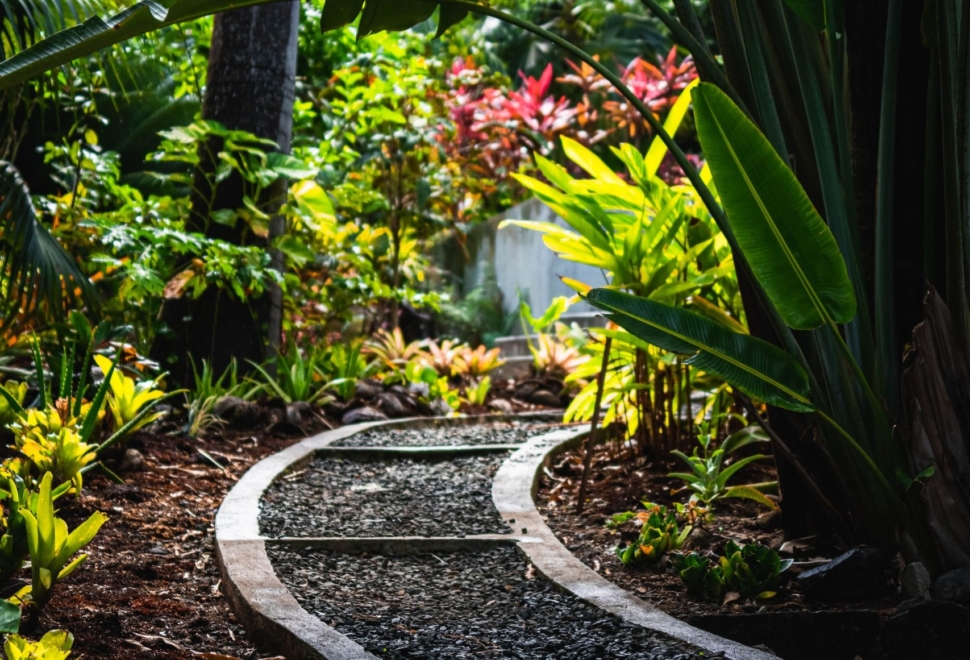 Création d'un chemin dans un jardin particulier